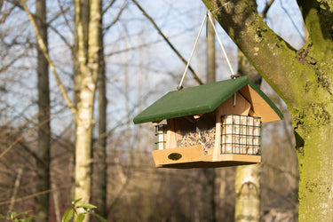 Bird Treat Feeders